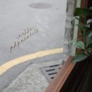 토곡사거리 청담 앞 이미지