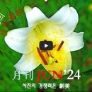 월례사진영상 [Jun'24] 사진의 경쟁력은 創美 이미지