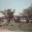 향남초등학교 이미지