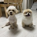 유니코브(주) | [4월 결산]