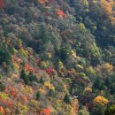 별그대 민박 이미지