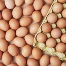 플라이휘트니스 대야점 이미지