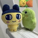 시온농장 | 오랜만에 올려보는 2월 일상 블로그 . . .