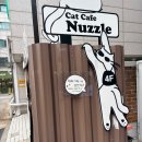 너즐(Nuzzle) | 성수 고양이카페 너즐 내돈내산, 초등 아이와 다녀옴