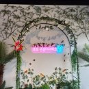 봉화황토테마파크1 | 포천 실내 파충류체험 포프 곤충테마파크 방문 후기