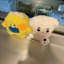 배 타고 후쿠오카 다녀온 썰