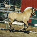 우리마차 이미지