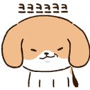 깐돌이네 애견미용호텔 이미지