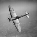 마린슈퍼 이미지