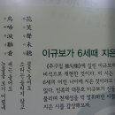 강화문학관 Daum카페
