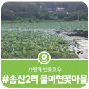 송산2리마을회관 | 가평의 연꽃호수, 설악 송산2리 물미 연꽃마을