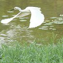 광양 수성당 이미지