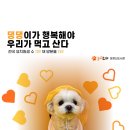 놀러오개 애견유치원 애견호텔 운정신도시점 | "놀러오개 운정신도시점에서 댕댕이와 함께 행복한 하루!" 🐾💕