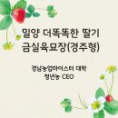 밀양시농업기술센터 | [농업마이스터대학 청년농CEO]밀양농업기술센터,더똑똑한딸기,금실딸기육묘장