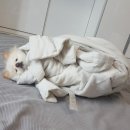 신사동-17 이미지