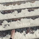 블루몽키 | 피피섬에서 롱테일보트투어 가기 예약부터 후기까지 / 블루라군 마야베이 몽키비치 스노쿨링