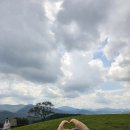 들판의추억목장 이미지