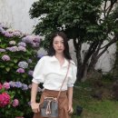 르퐁50