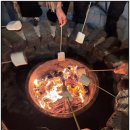 두나민박 | 포항 월포 12명 단체 펜션 추천: 두나무 펜션 찐후기 (불멍, 바베큐, 독채)