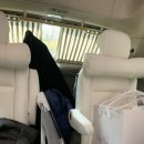 꽃가마 | W. 꽃가마웨딩카 본식후기 더링크호텔