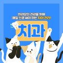 하온동물의료센터 이미지