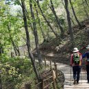 지곡초교 삼거리 이미지