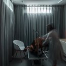 Dog House 이미지