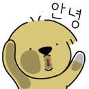 (주)비알비에프엔비