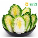 군자농협 | 김장 미리 준비했어요! 농협 인증 괴산 절임배추 솔직 후기!