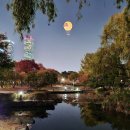 12/18(목) 여의도 달빛걷기[또한그리고대장님] 이미지