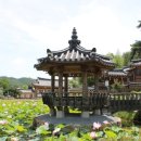 영천 귀애정 이미지