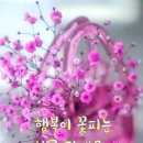 아름다운 행정사 이미지