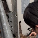 동물보육원 용인지부 이미지