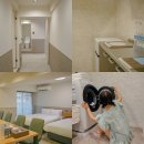 제일오토바이센타 - 화순군 이양로 125-3 | 오사카 난바 호텔 찾는다면? 오사카 위치좋은 숙소 추천, 에스리드 호텔 난바 다이코쿠초 후기