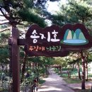 관동별곡800리길