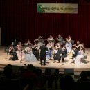 플루트(1년) 이미지