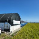 영만농장 이미지