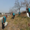 영동(분회) 이미지