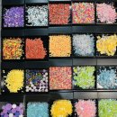 킹덤태권도 이미지