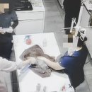 서울종합동물병원 이미지