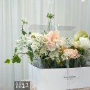 헤미쉬플레르