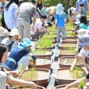 감자수북 이미지