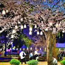 시민의숲산책로1-21 이미지