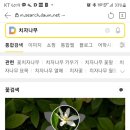 성경온누리약국 이미지