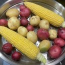 병곤농장 이미지