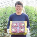 초심농장 이미지