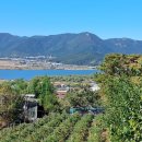 호포농장 이미지