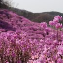 (주)효성 안양공장 이미지