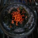 별미돌솥밥 이미지