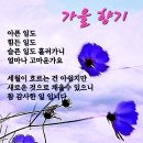 🌺 중국 태산 7200계단 도전자들의 최후 이미지